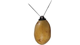 Potatoes set to power phones and tablets within 3 years