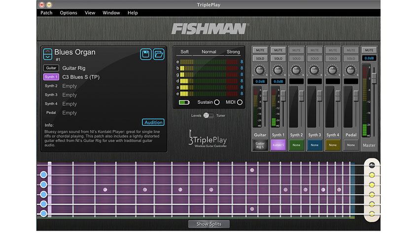 Fishman's TriplePlay software is the means by which all of the extra software is accessed
