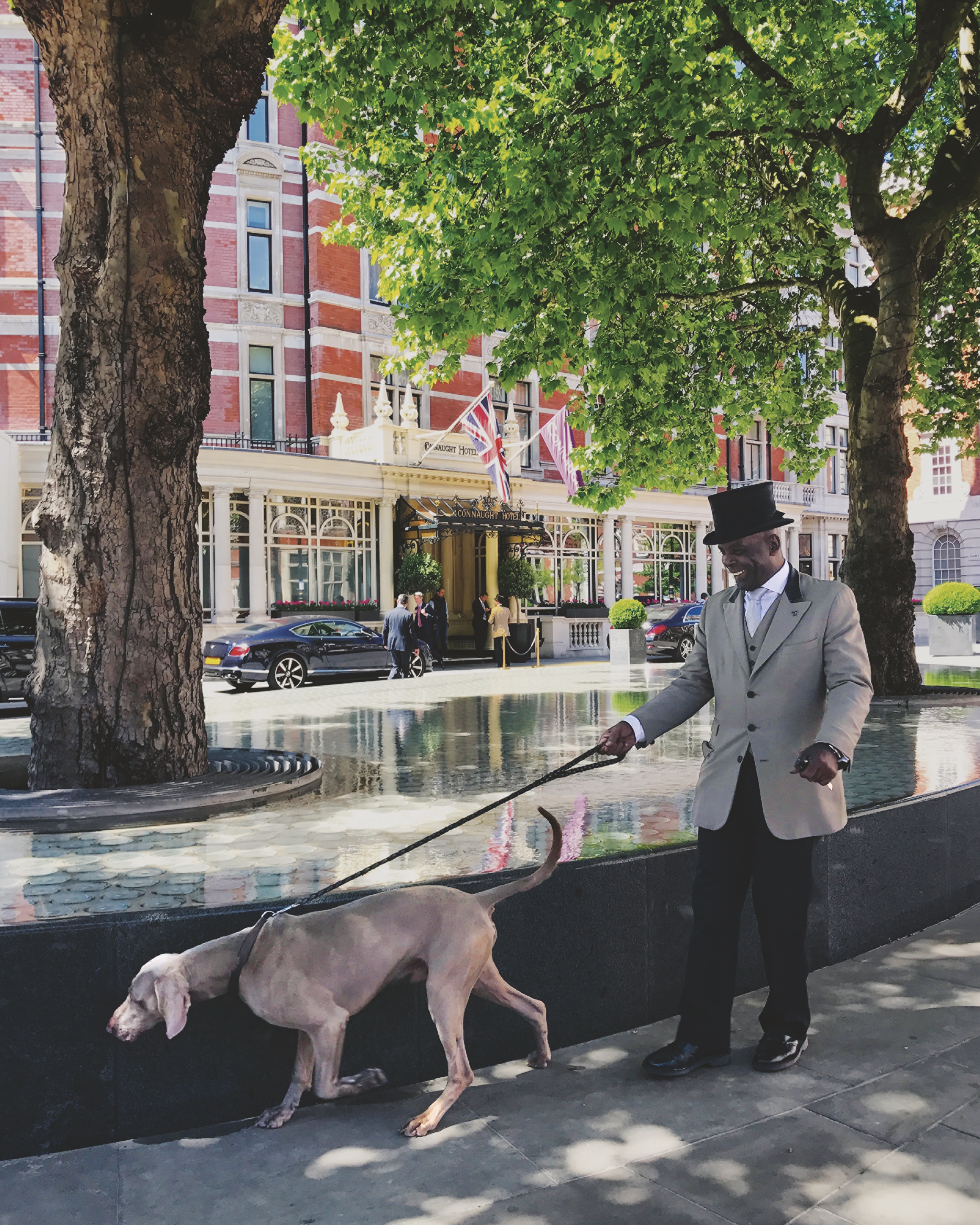 Man walking a dog outside The Connaught