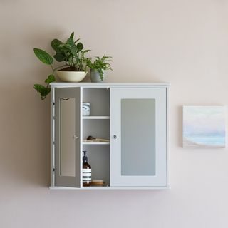wall cupboard with shelves for storage