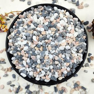  Succulent and Cactus Gravel Pebbles