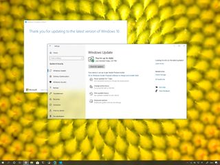 Windows 10 version 2004 releases