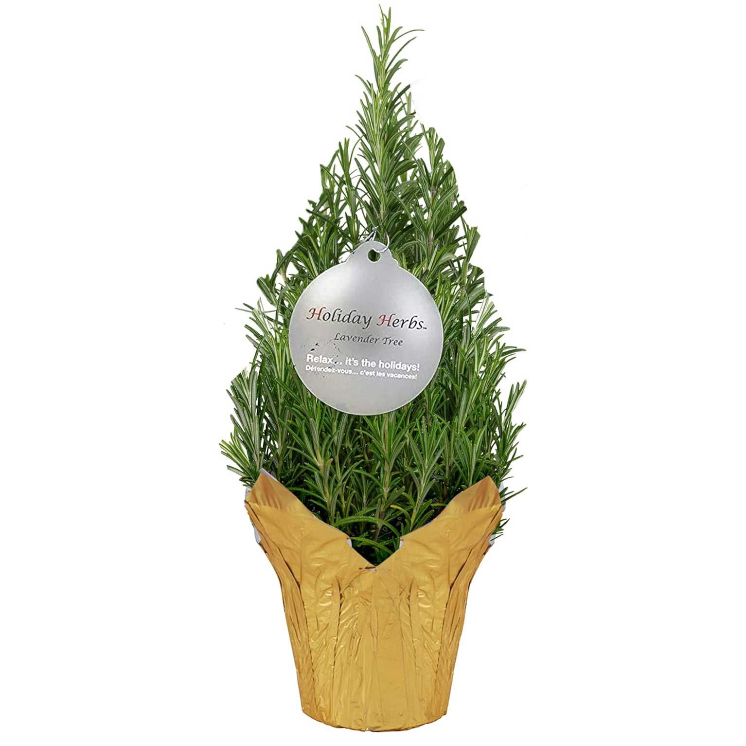 herb christmas tree