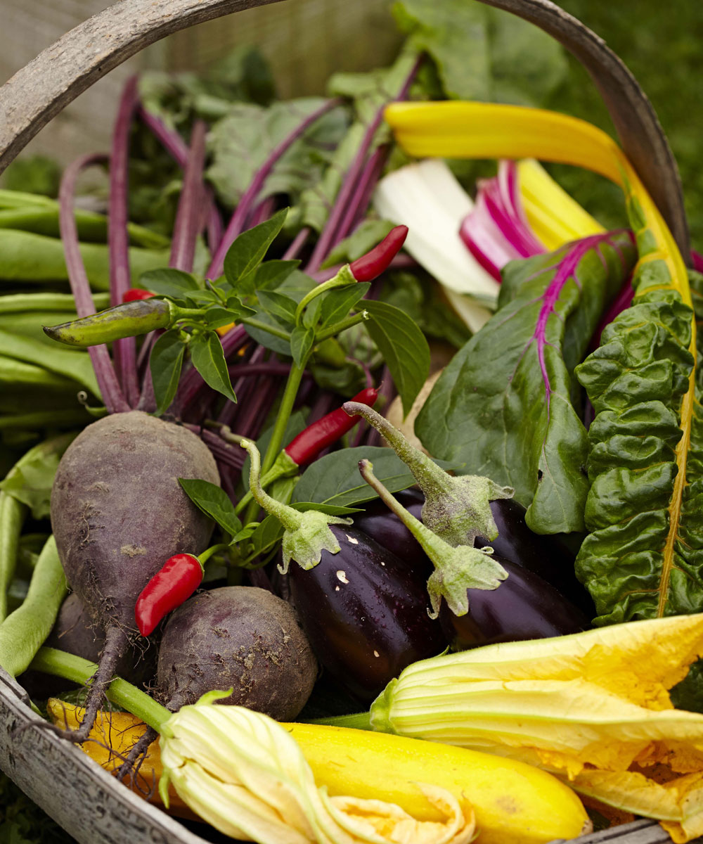red chillies brinjals and radish in wooden basket