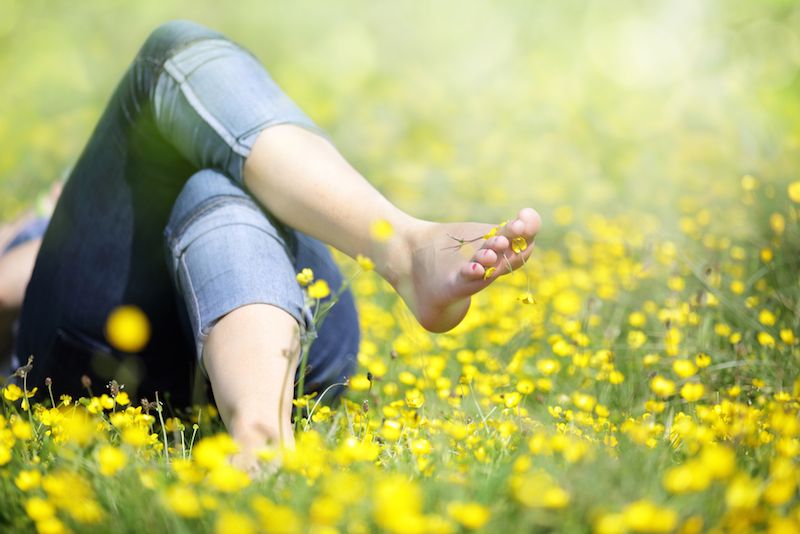 View of Why Can't Humans Eat Grass? | Live Science