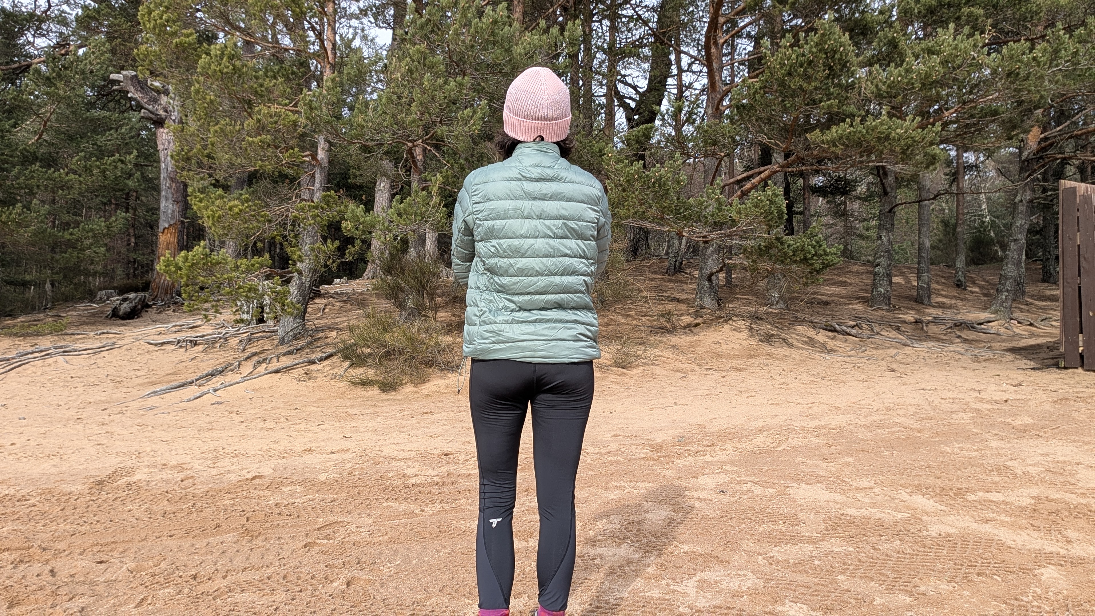 A woman from behind standing on a beach wearing a green down jacket with arms folded