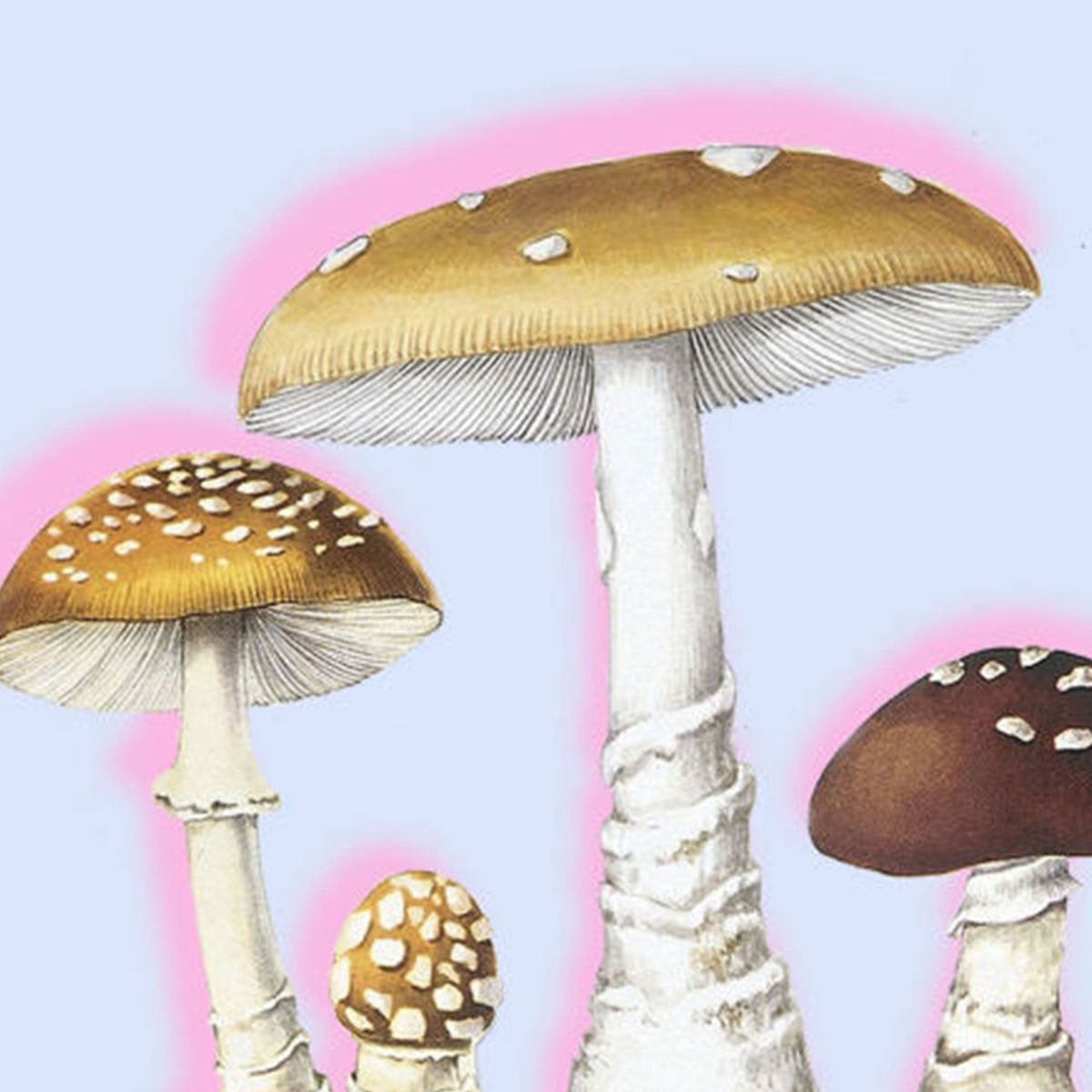 How Do You Microdose LSD - What Happens When You Microdose | Marie Claire