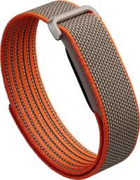 Fitbit Air