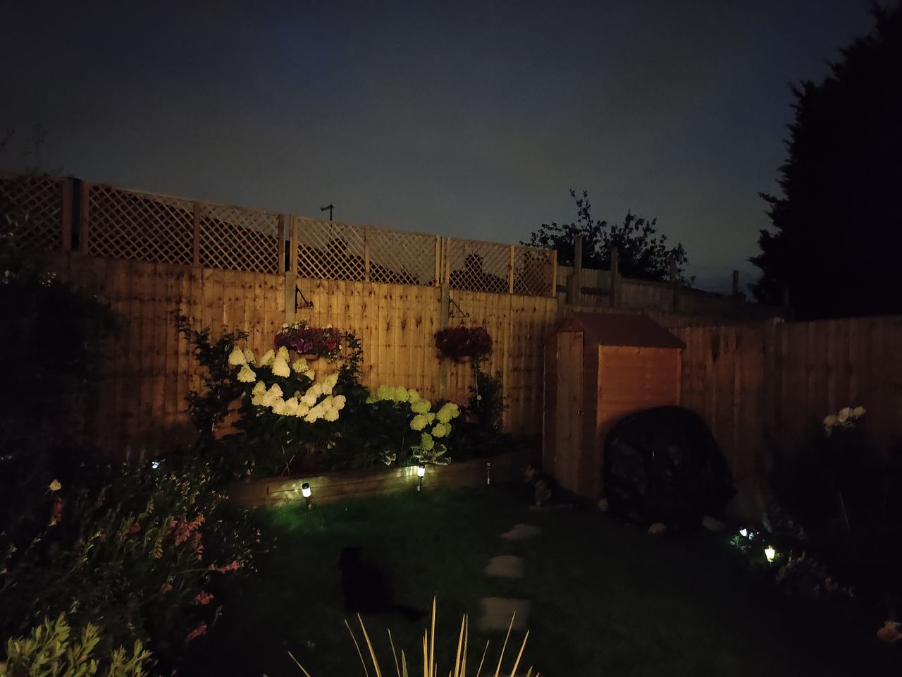 Photos taken on the Nubia Red Magic 7s Pro