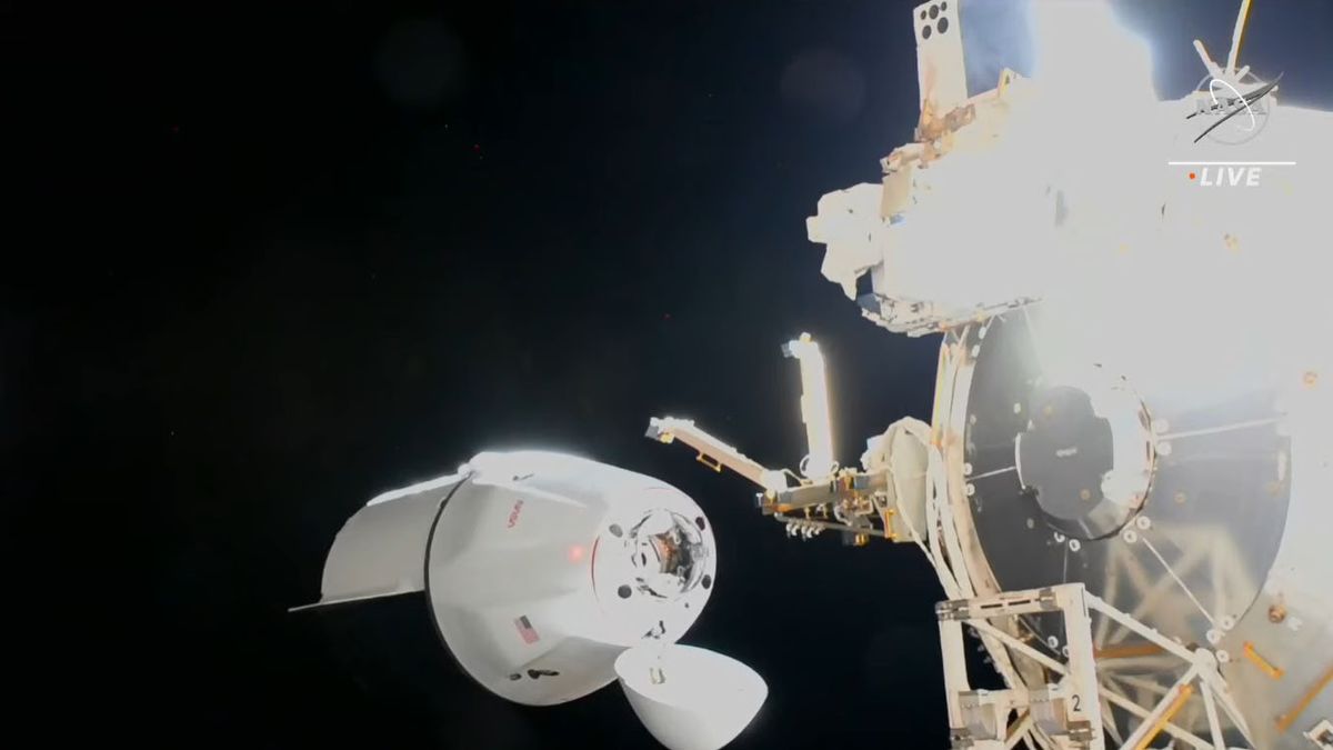 The SpaceX Dragon cargo ship arrives at the space station with NASA supplies