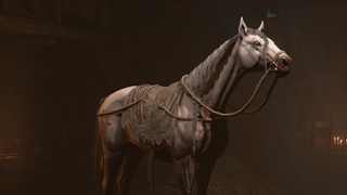 A horse in Diablo 4.