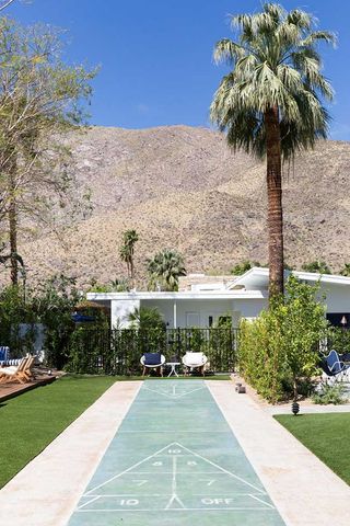 A palm tree,Holiday House — Palm Springs, USA
