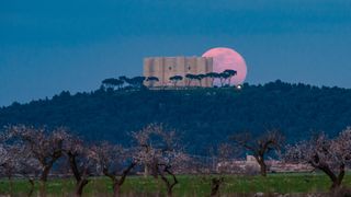 A large full moon with a pink hue rises behind the Castel del Monte, a sand-colored citadel perched on a hill and surrounded by trees.