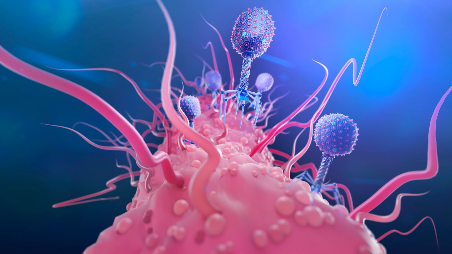 close up of a e. coli bacterial cell with wiggly projections. A large number of viruses can be seen landing on the part of the bacterium furthest from the viewer