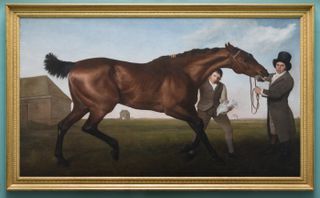 Brown horse and two men