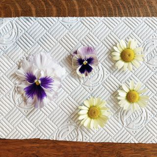 fresh flowers on a piece of kitchen roll on a table future