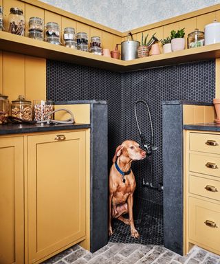 yellow dog shower and utility room