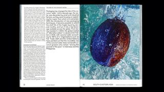 Migrant Journal magazine layout with a coconut shell in water photograph