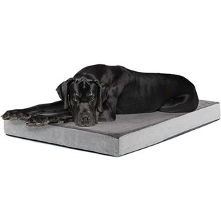 BarkBox Memory Foam Dog Bed