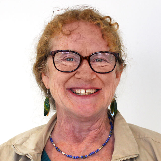 a headshot photo of Sally McCabe