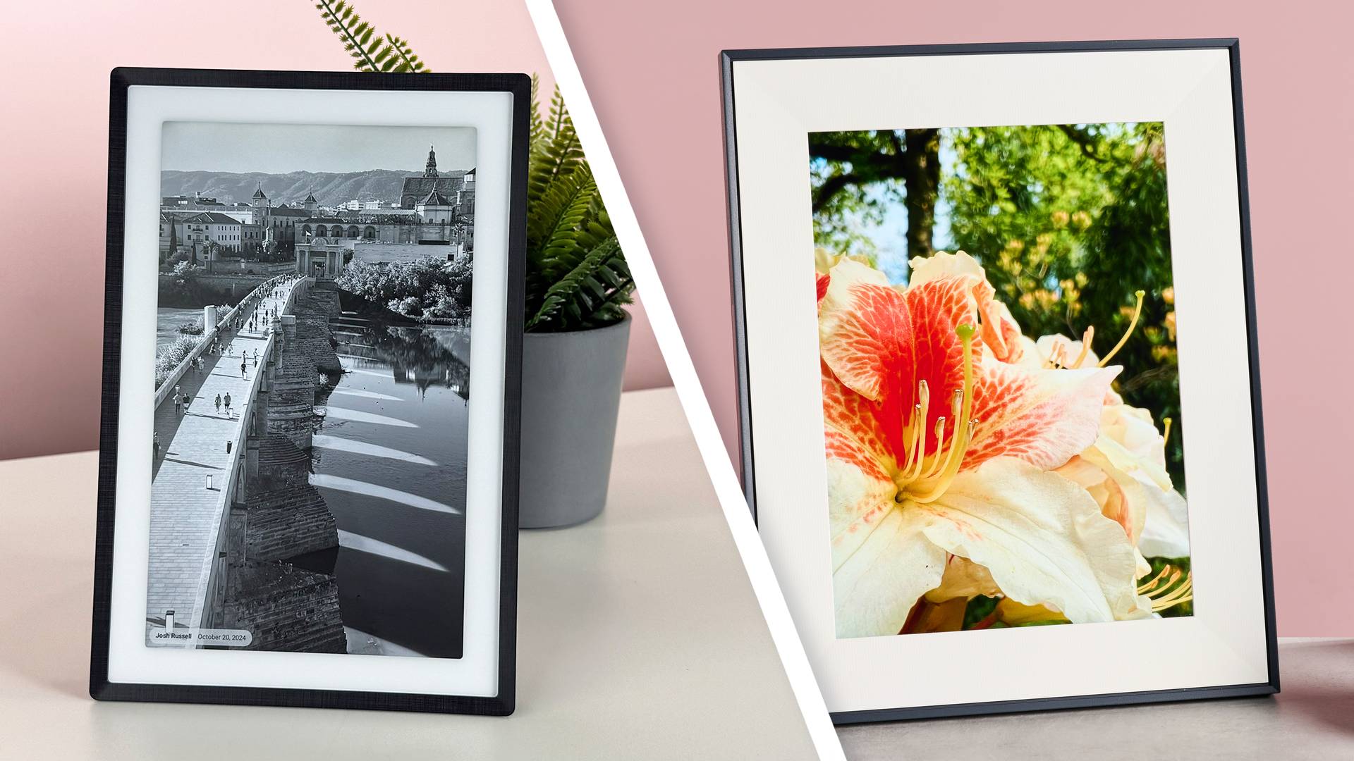 A side-by-side comparison of the Pexar 11-inch Digital Picture Frame featuring a black and white bridge and the Aura Aspen featuring a colorful rhododendron blossom.