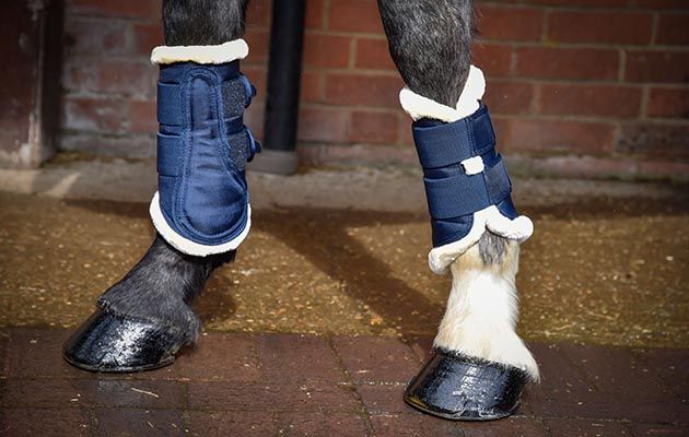 Eskadron brushing boots with faux fur review
