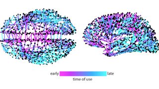 Information spreads through your brain like it does on Twitter