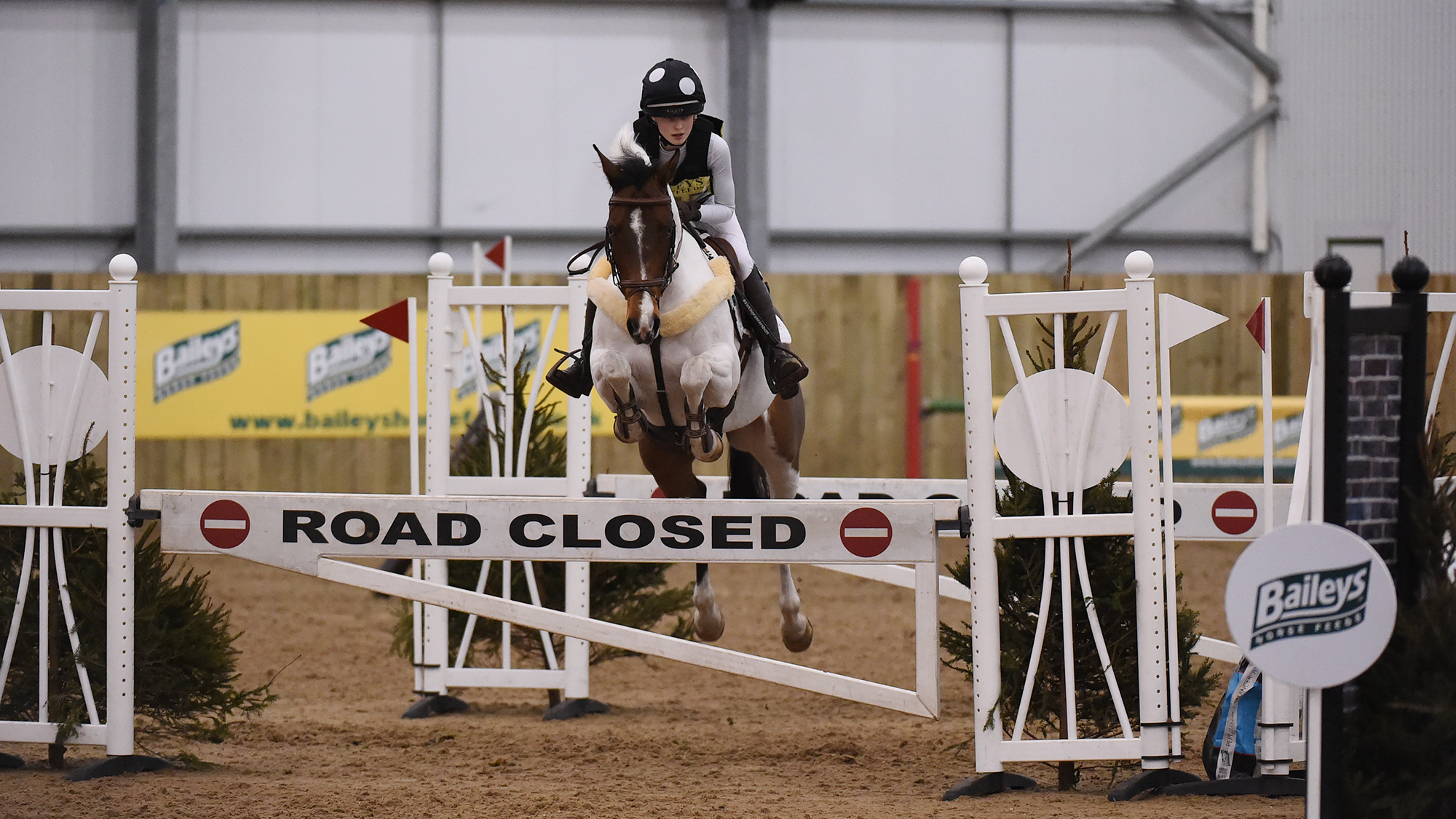 Arena eventing training includes teaching horses to take on unusual obstacles off short distances out of turns.
