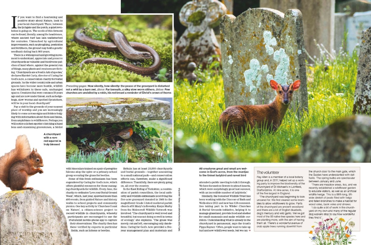 Spreads from Country Life 2 July 2025