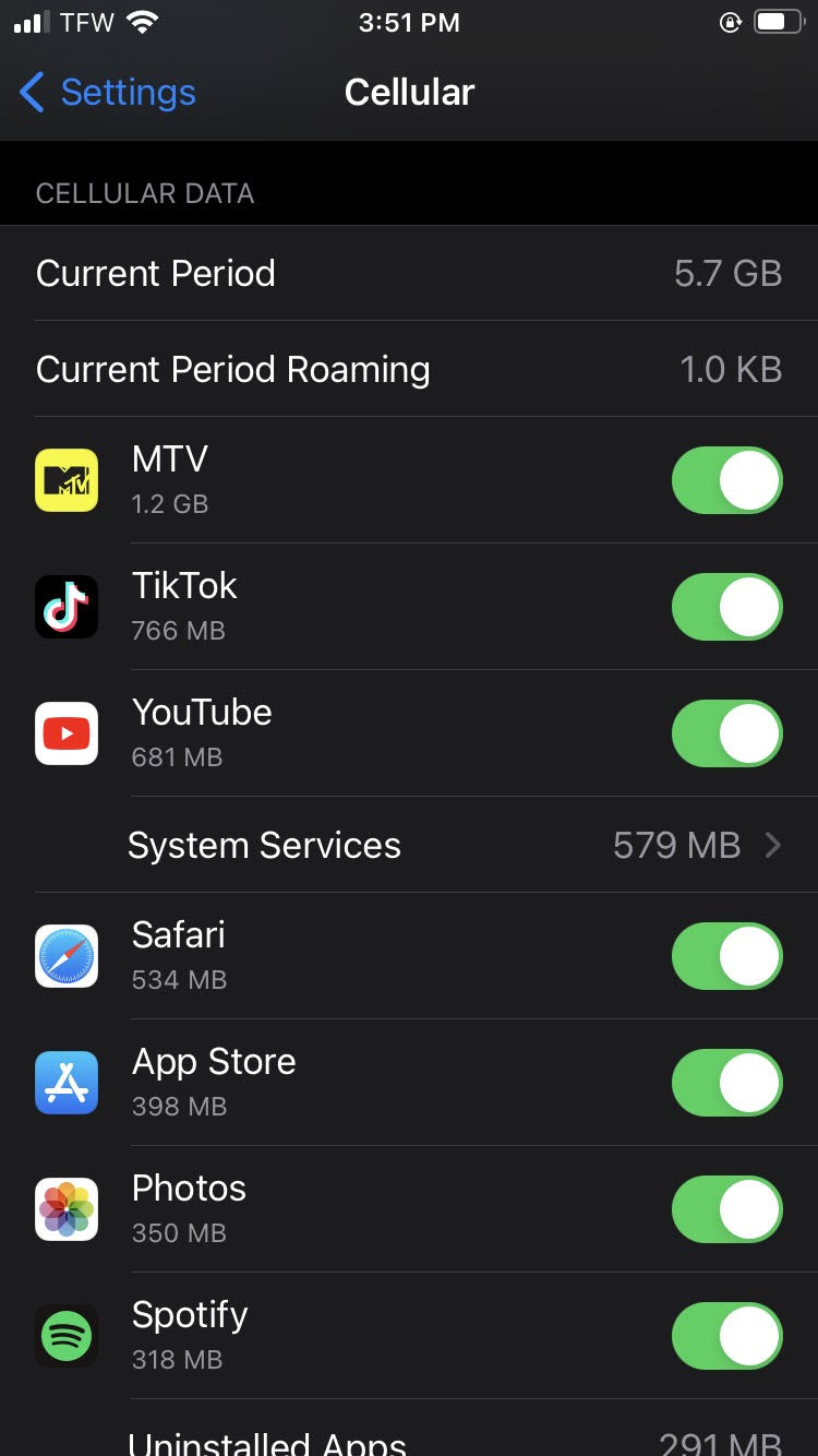 How to check data usage on iPhone