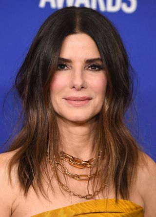 Sandra Bullock poses in the press room at the 77th Annual Golden Globe Awards at The Beverly Hilton Hotel on January 05, 2020 in Beverly Hills, California