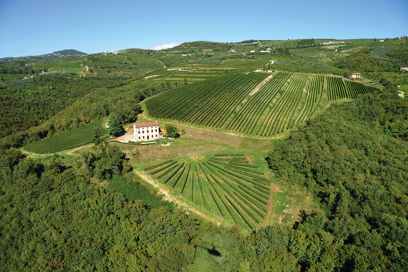 Cottini.valpolicella_cru.jpg