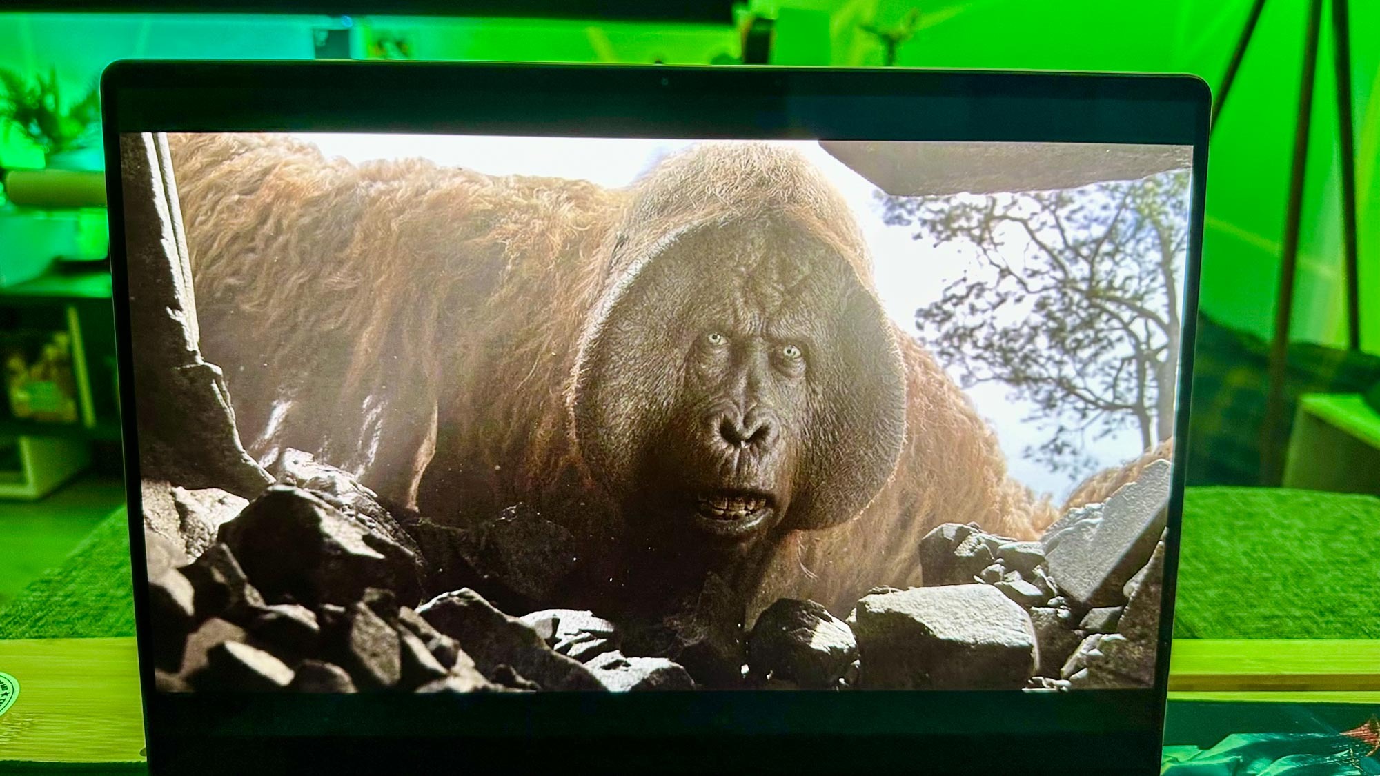 King Louis in The Jungle Book (2016) playing on the Asus ROG Zephyrus G14 (2024).