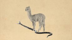 Photo collage of a llama stepping on a snake