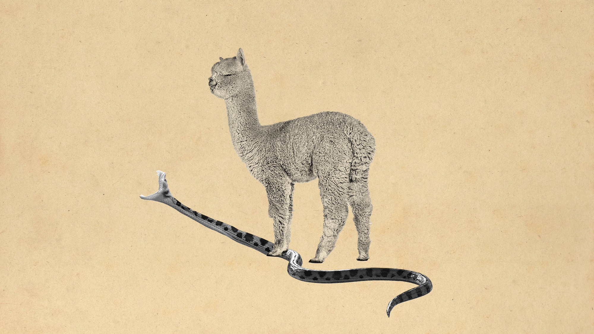 Photo collage of a llama stepping on a snake