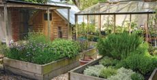A garden with raised vegetable beds to support a guide to succession planting