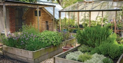 A garden with raised vegetable beds to support a guide to succession planting