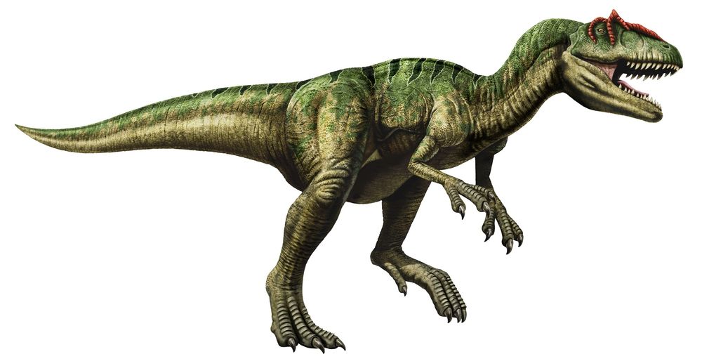 allosaurus