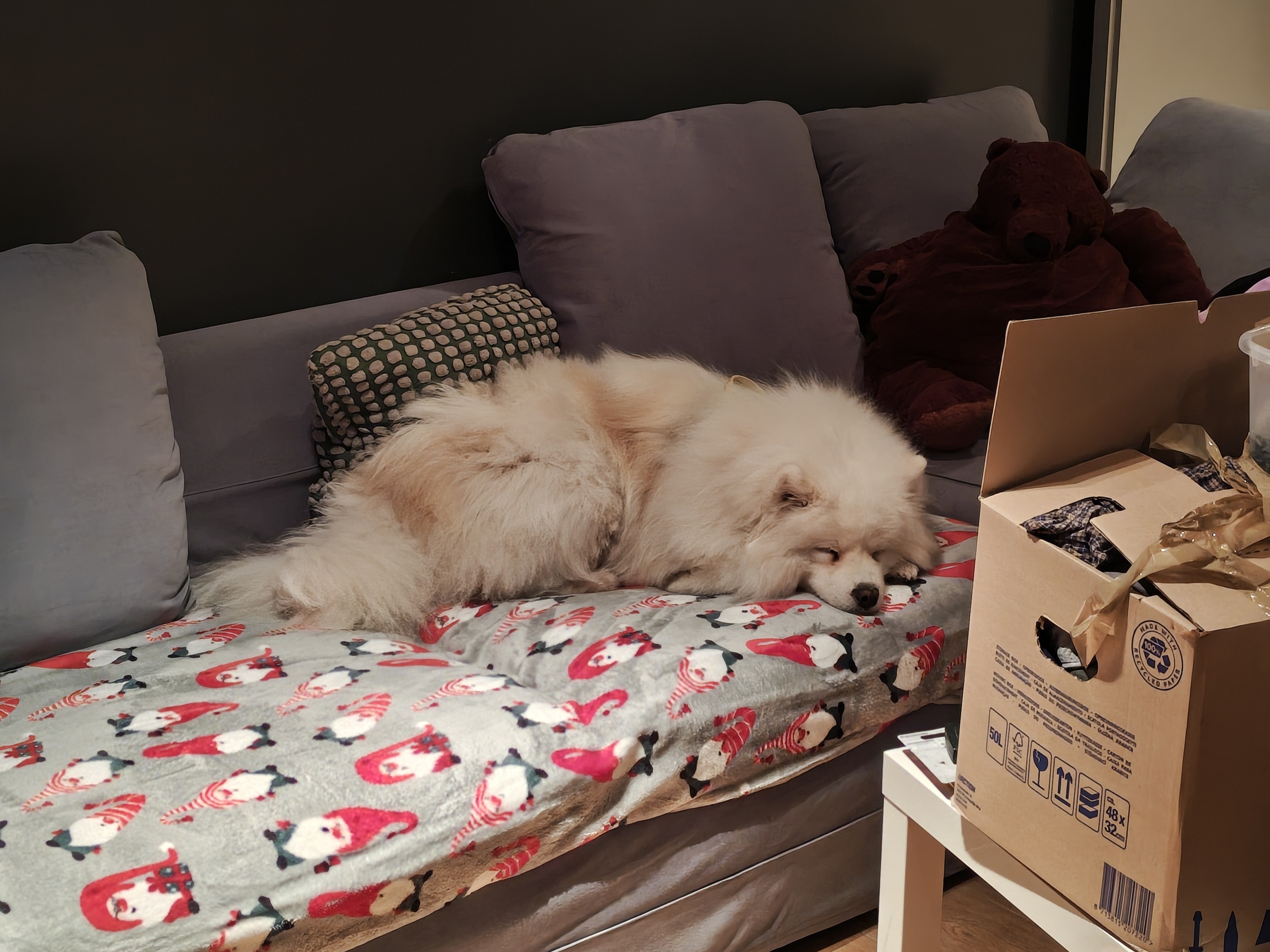 Voorbeeldfoto motorola edge 70