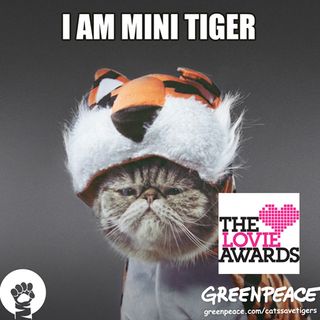 Cats Save Tigers, Mr President's social activation campaign for Greenpeace, is up for a Lovies award in the Social category