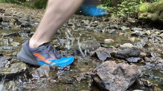 Dynafit Alpine Running Shoes: splashing on a run