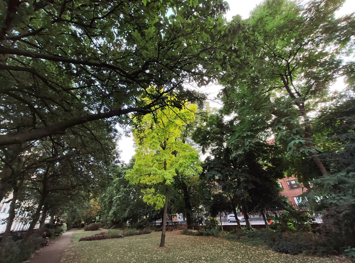 Xiaomi Mi 9T Pro review Digital Camera World