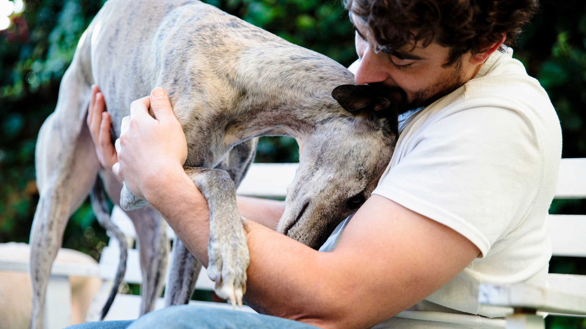 a man hugs his greyhound on a park bench