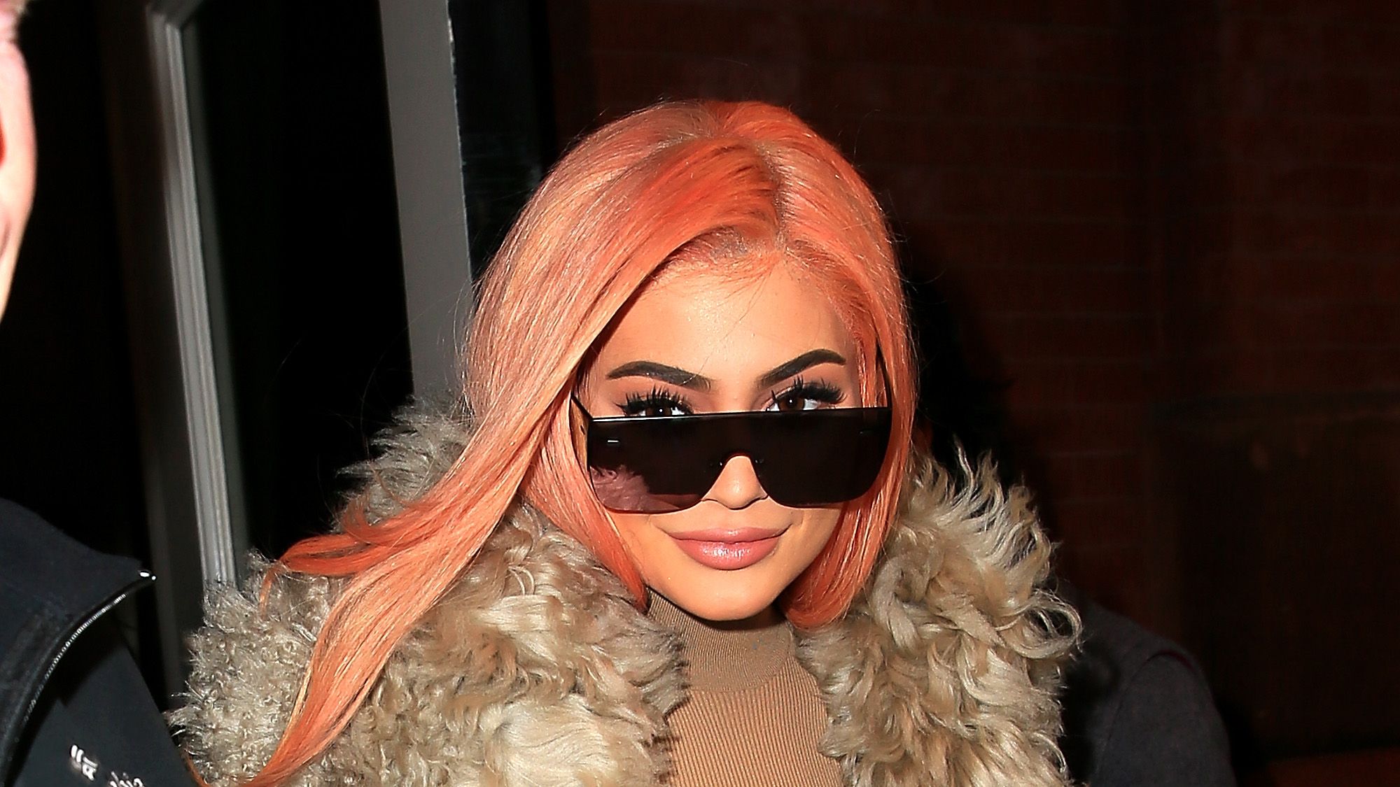 Eyewear, Clothing, Fur, Fur clothing, Sunglasses, Fashion, Outerwear, Dress, Lip, Blond,