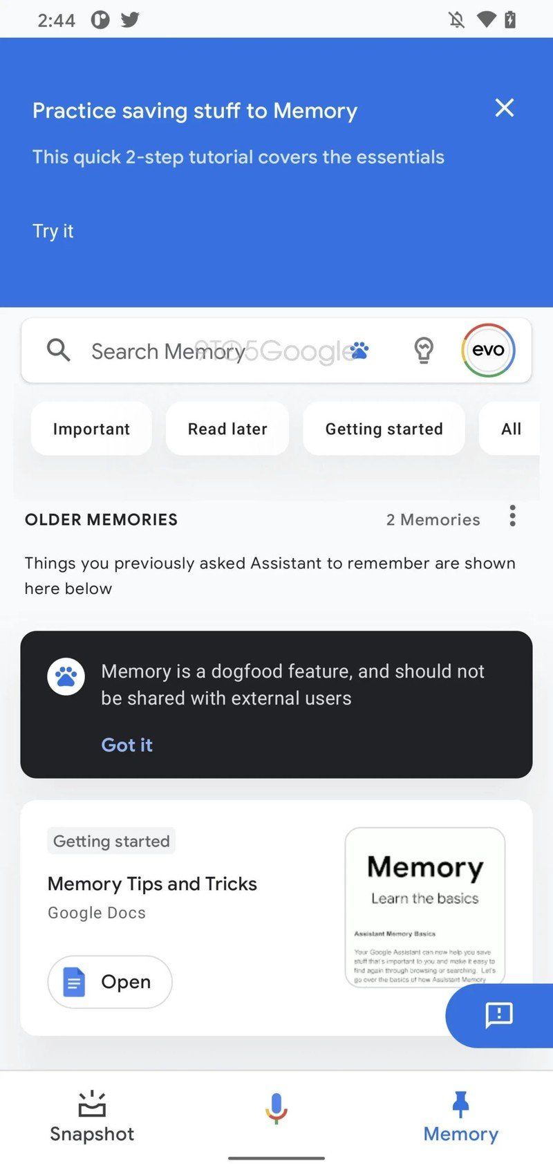 Google Assistant Memory Feed