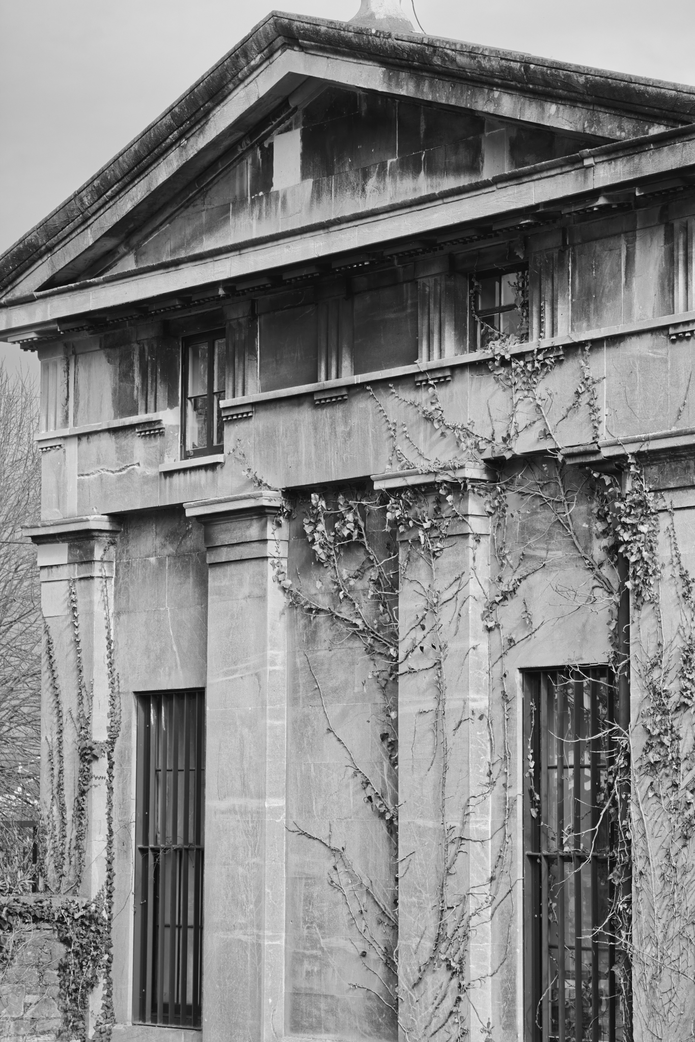 Leica Q3 Monochrom vs Leica Leitzphone comparison