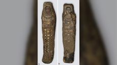 The male (left) and female (right) mummies first found in Saqqara, Egypt in 1615.