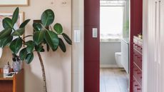 Rubber plant in bedroom, leading to a bathroom