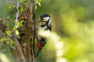 GuruShots - Nature’s Beauty