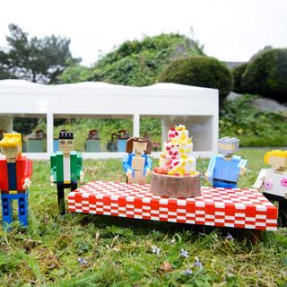 garden with robot toy and cake